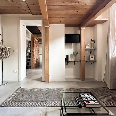 Apartment Loft In Centro
